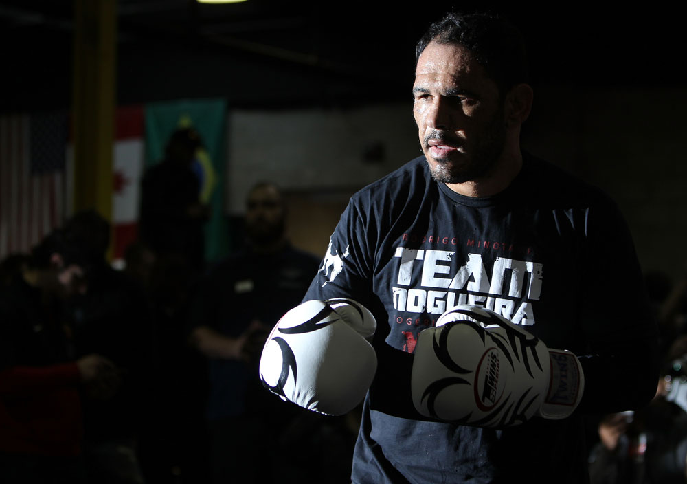 TORONTO, ON - DECEMBER 07:  Antonio Rogerio "Minotoro" Nogueira works out for the fans and media during the UFC 140 Open Workouts at the Xtreme Couture Gym on December 7, 2011 in Toronto, Ontario.  (Photo by Josh Hedges/Zuffa LLC/Zuffa LLC via Getty Images)