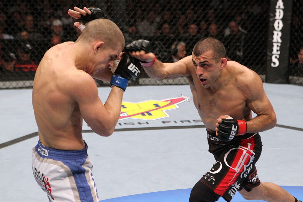 UFC 123: Lauzon vs. Sotiropolous