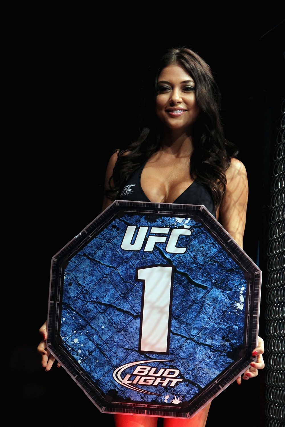 RIO DE JANEIRO, BRAZIL - JANUARY 14: UFC Octagon Girl Arianny Celeste looks on during the Ricardo Funch versus Mike Pyle in a welterweight bout during UFC 142 at HSBC Arena on January 14, 2012 in Rio de Janeiro, Brazil. (Photo by Josh Hedges/Zuffa LLC/Zuffa LLC via Getty Images)