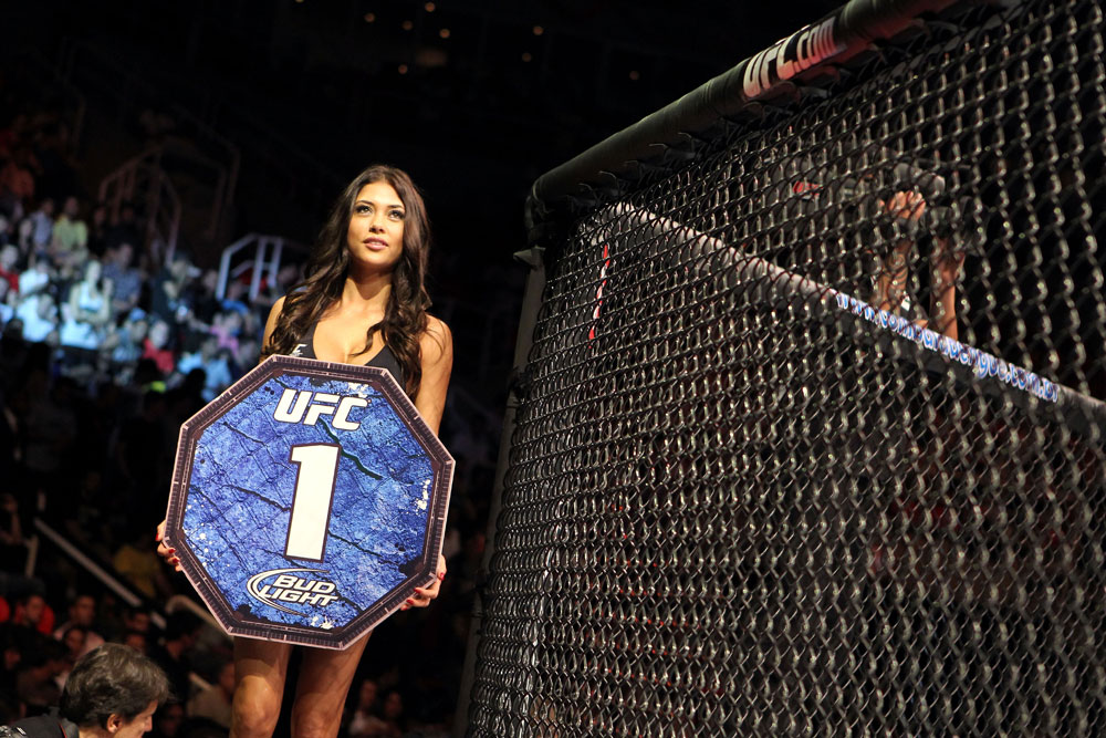 RIO DE JANEIRO, BRAZIL - JANUARY 14: UFC Octagon Girl Arianny Celeste looks on during the Ricardo Funch versus Mike Pyle in a welterweight bout during UFC 142 at HSBC Arena on January 14, 2012 in Rio de Janeiro, Brazil. (Photo by Josh Hedges/Zuffa LLC/Zuffa LLC via Getty Images)