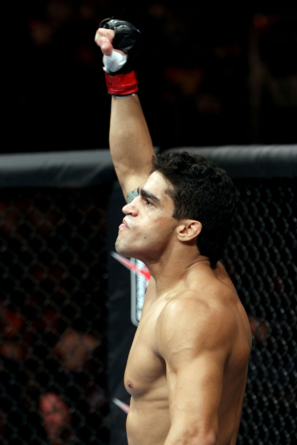RIO DE JANEIRO, BRAZIL - JANUARY 14: Thiago Tavares reacts against Sam Stout in a lightweight bout during UFC 142 at HSBC Arena on January 14, 2012 in Rio de Janeiro, Brazil. (Photo by Josh Hedges/Zuffa LLC/Zuffa LLC via Getty Images)