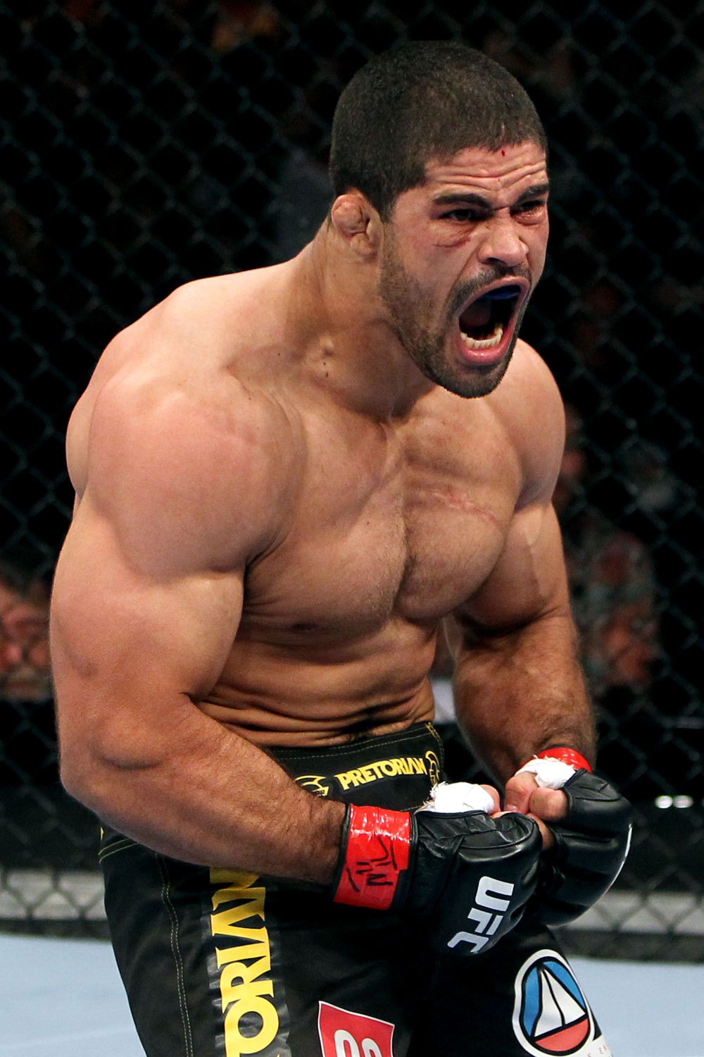 RIO DE JANEIRO, BRAZIL - JANUARY 14: Rousimar Palhares celebrates after defeating Mike Massenzio in a middleweight bout during UFC 142 at HSBC Arena on January 14, 2012 in Rio de Janeiro, Brazil. (Photo by Josh Hedges/Zuffa LLC/Zuffa LLC via Getty Images)