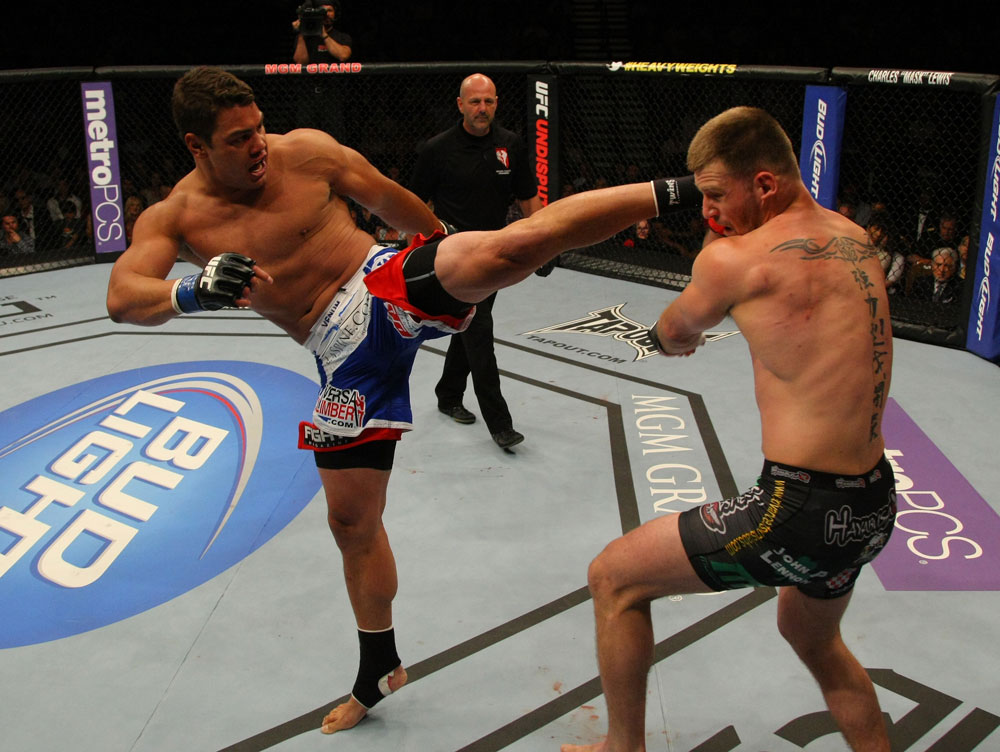 LAS VEGAS, NV - MAY 26:  Shane Del Rosario (L) kicks Stipe Miocic during a heavyweight bout at UFC 146 at MGM Grand Garden Arena on May 26, 2012 in Las Vegas, Nevada.  (Photo by Donald Miralle/Zuffa LLC/Zuffa LLC via Getty Images)