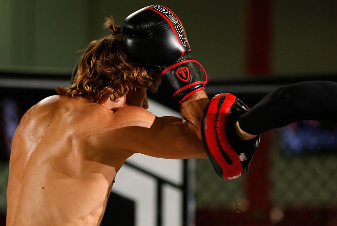 TORRANCE, CA - FEBRUARY 20:  Urijah Faber conducts an open training session for fans and media at the UFC Gym on February 20, 2013 in Torrance, California.  (Photo by Josh Hedges/Zuffa LLC/Zuffa LLC via Getty Images)