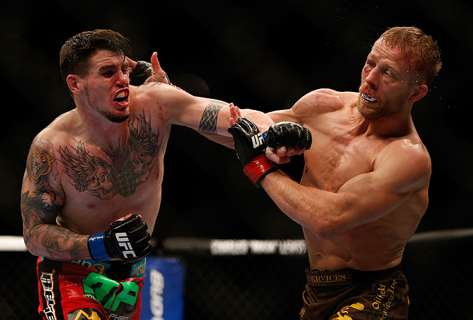 UFC middleweight Chris Camozzi UFC middleweight Chris Camozzi
