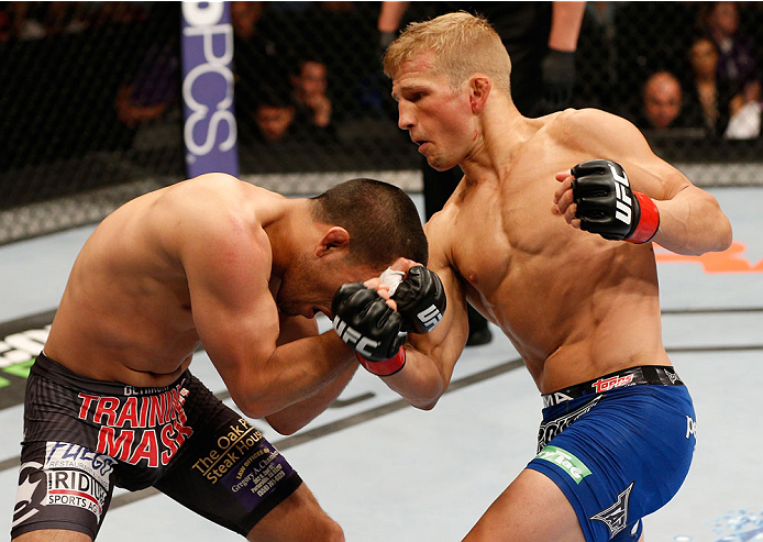 TJ Dillashaw lands a punch to the body of Joe Soto in their championship fight at UFC 177 on 8/30/14 in Sacramento, CA. (Photo by Jeff Bottari/Zuffa LLC)