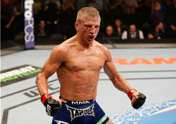 T.J. Dillashaw celebrates after his knockout victory over Joe Soto in their UFC bantamweight championship bout during the UFC 177 event at Sleep Train Arena on August 30, 2014 in Sacramento, California. (Photo by Josh Hedges/Zuffa LLC)