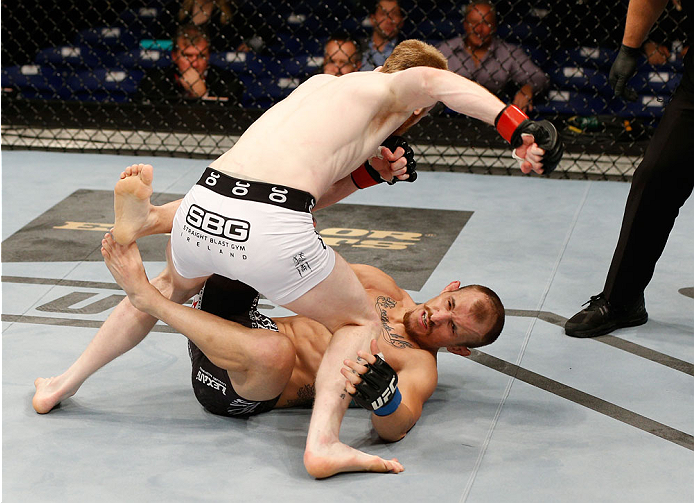 Holohan punches Josh Sampo