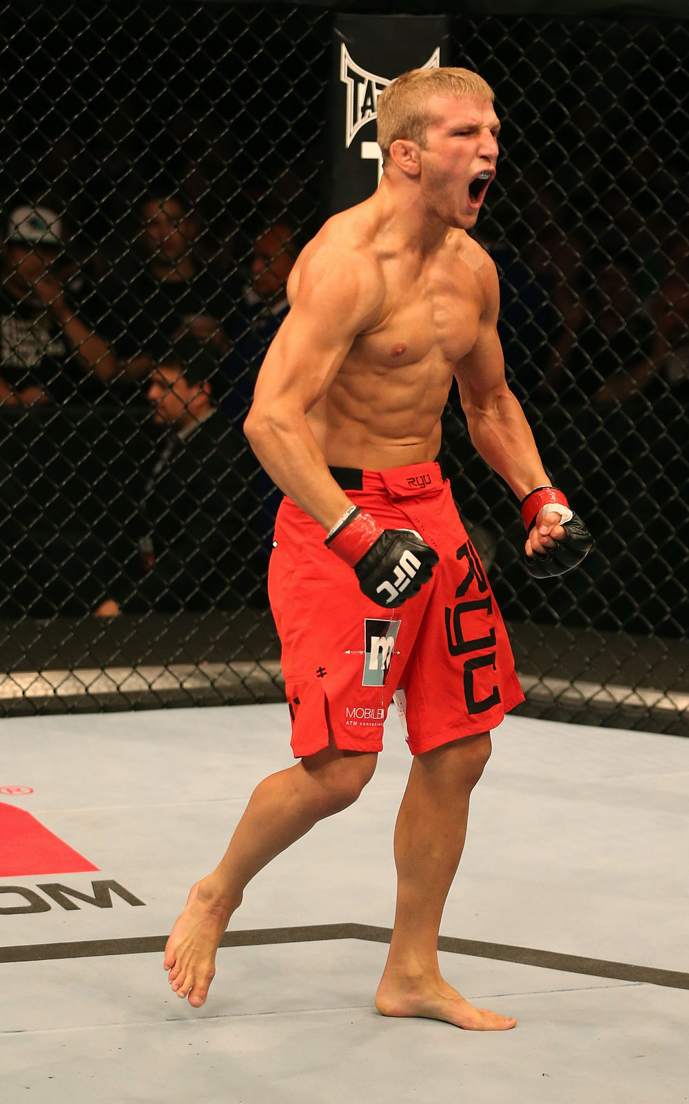 SAN JOSE, CA - JULY 11: TJ Dillashaw reacts to his submission victory over Vaughan Lee after their bantamweight bout at HP Pavilion on July 11, 2012 in San Jose, California. (Photo by Ezra Shaw/Zuffa LLC/Zuffa LLC via Getty Images) *** Local Caption *** T.J. Dillashaw