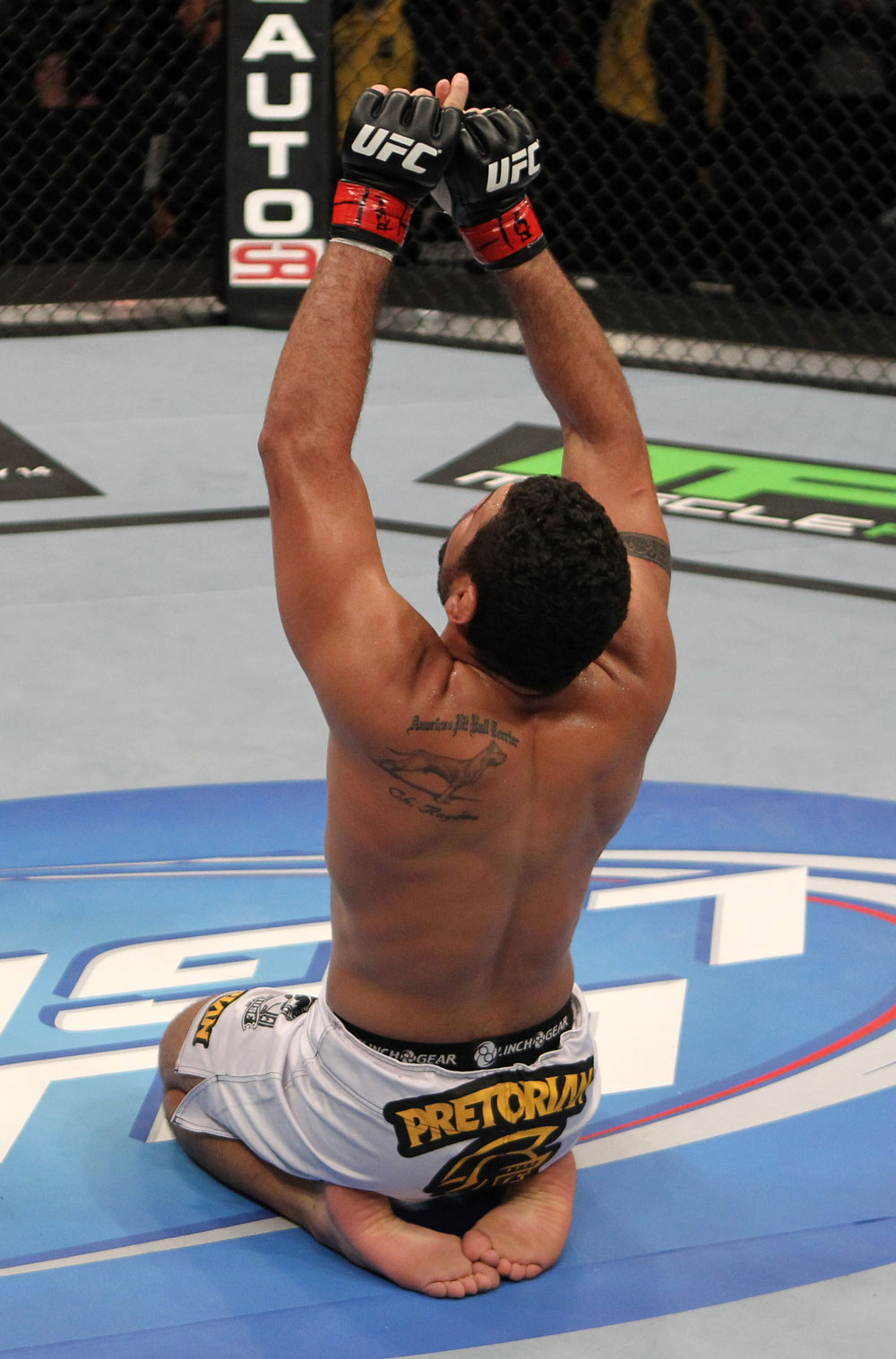 NASHVILLE, TN - JANUARY 20:  Fabricio Camoes reacts after defeating Tommy Hayden during the UFC on FX event at Bridgestone Arena on January 20, 2012 in Nashville, Tennessee.  (Photo by Josh Hedges/Zuffa LLC/Zuffa LLC via Getty Images)