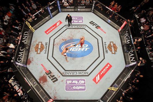 Fast Facts for Our 20th Anniversary | UFC ® - News