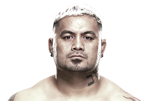 Mark Hunt