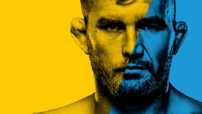 UFCファイトナイト:グスタフソン vs. テイシェイラ